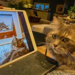 [OC] Am I a Joke to You?