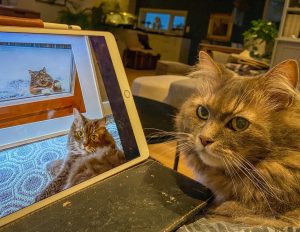 [OC] Am I a Joke to You?