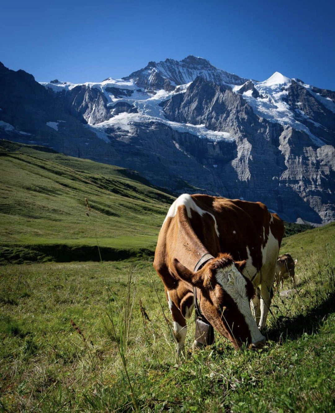 [OC] Switzerland