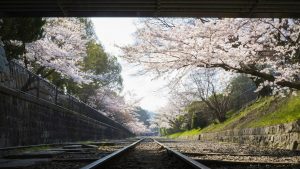 11 Weeks Solo Trip to Japan - 6 Cities - Looking for "secret" locations outside of the usual touristy places