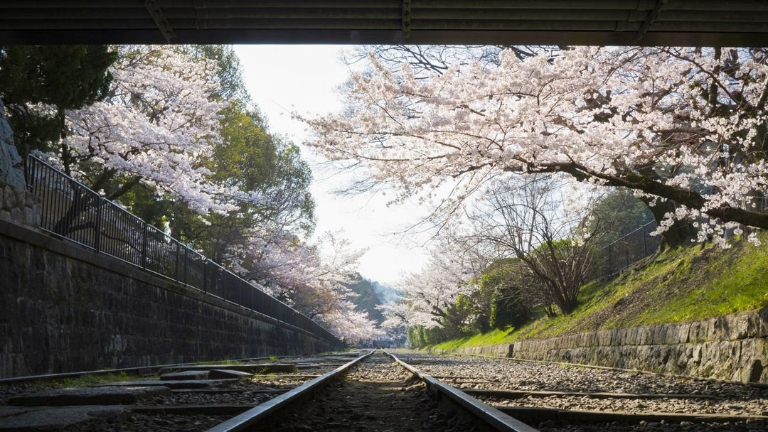 11 Weeks Solo Trip to Japan - 6 Cities - Looking for "secret" locations outside of the usual touristy places