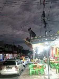 He is vengeance. He is the night.