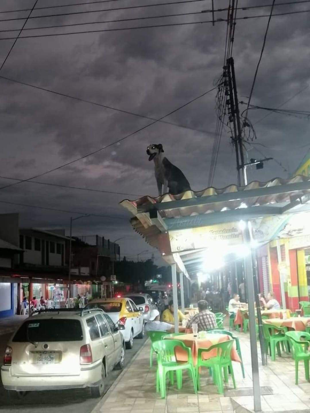He is vengeance. He is the night.