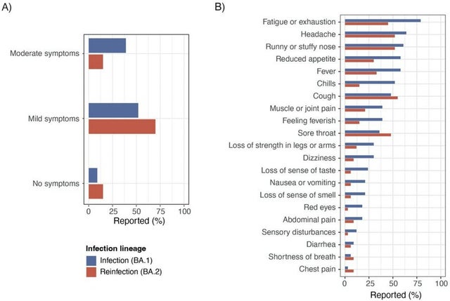 Epidemiology of reinfections