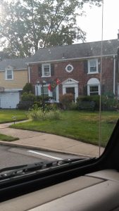 Found while driving - any idea what it is?