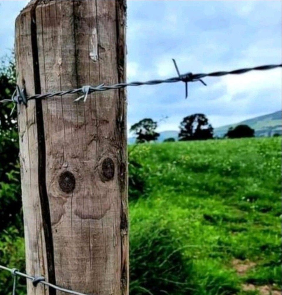 Everyone deserves a happy post, have nice weekend 🤷🏻‍♂️