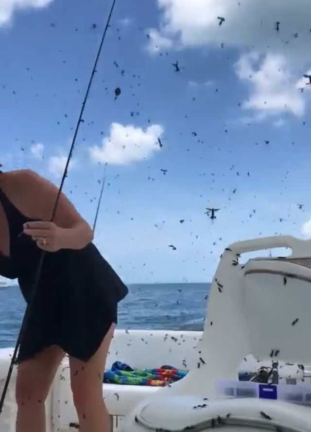 How did one not fly into their mouths?