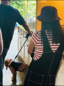 The lady and dog in front of me at a coffee shop were wearing the same outfit.