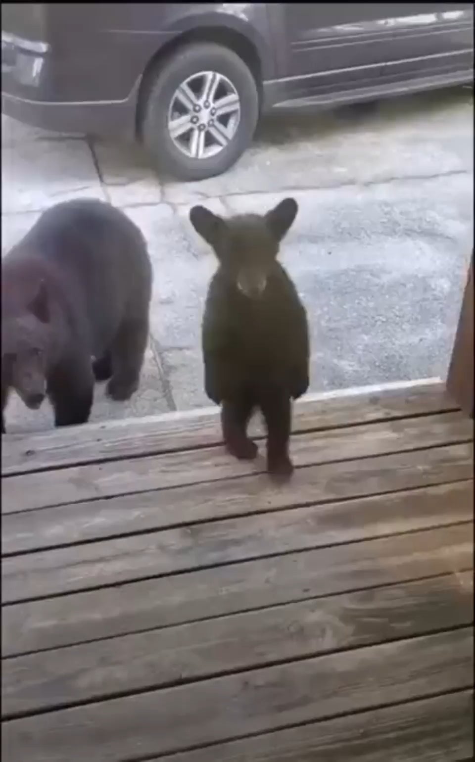 Got any honey?