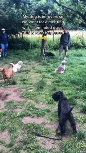 Reddit meetup in real life.