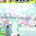 Grocery shopping in Japan