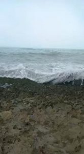 WCGW if you stand near the Sea-shore in rough weather.