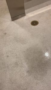 I just wanted to use the bathroom