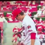 A normal baseball fan, Tetsuya Naito, watching a baseball match between Yokohama DeNA BayStars and Hiroshima Toyo Carp.