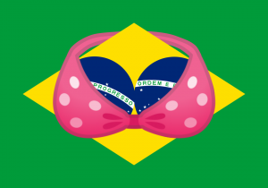 The Flag of BRA-zil
