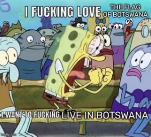Flag of Botswana if I move there