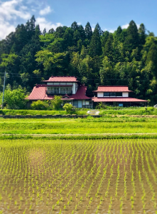 Ricefields and countryside home in rural Iwate Prefecture [OC]