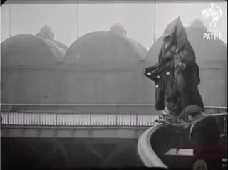 First death ever recorded. Franz Reichelt (1879-1912)
