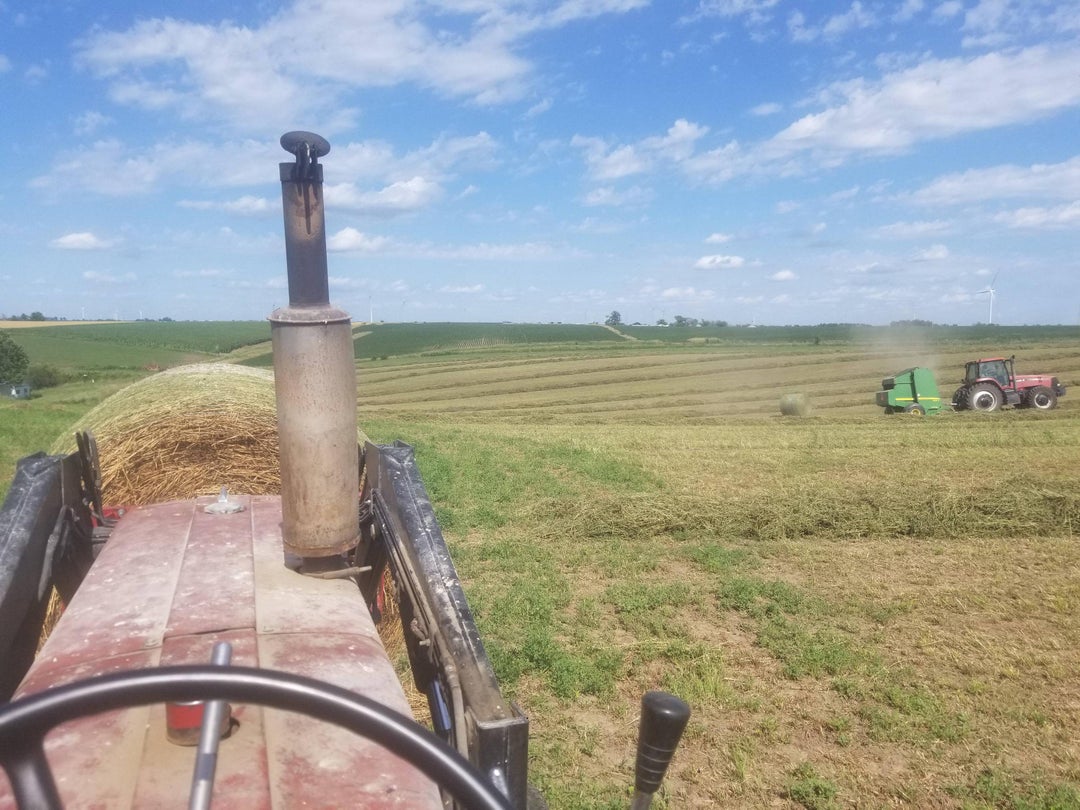 I'm sharing a picture because I can't share the smell. [OC]