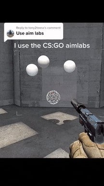 "use aim lab," they said