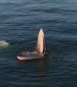 Just grabbing a bite