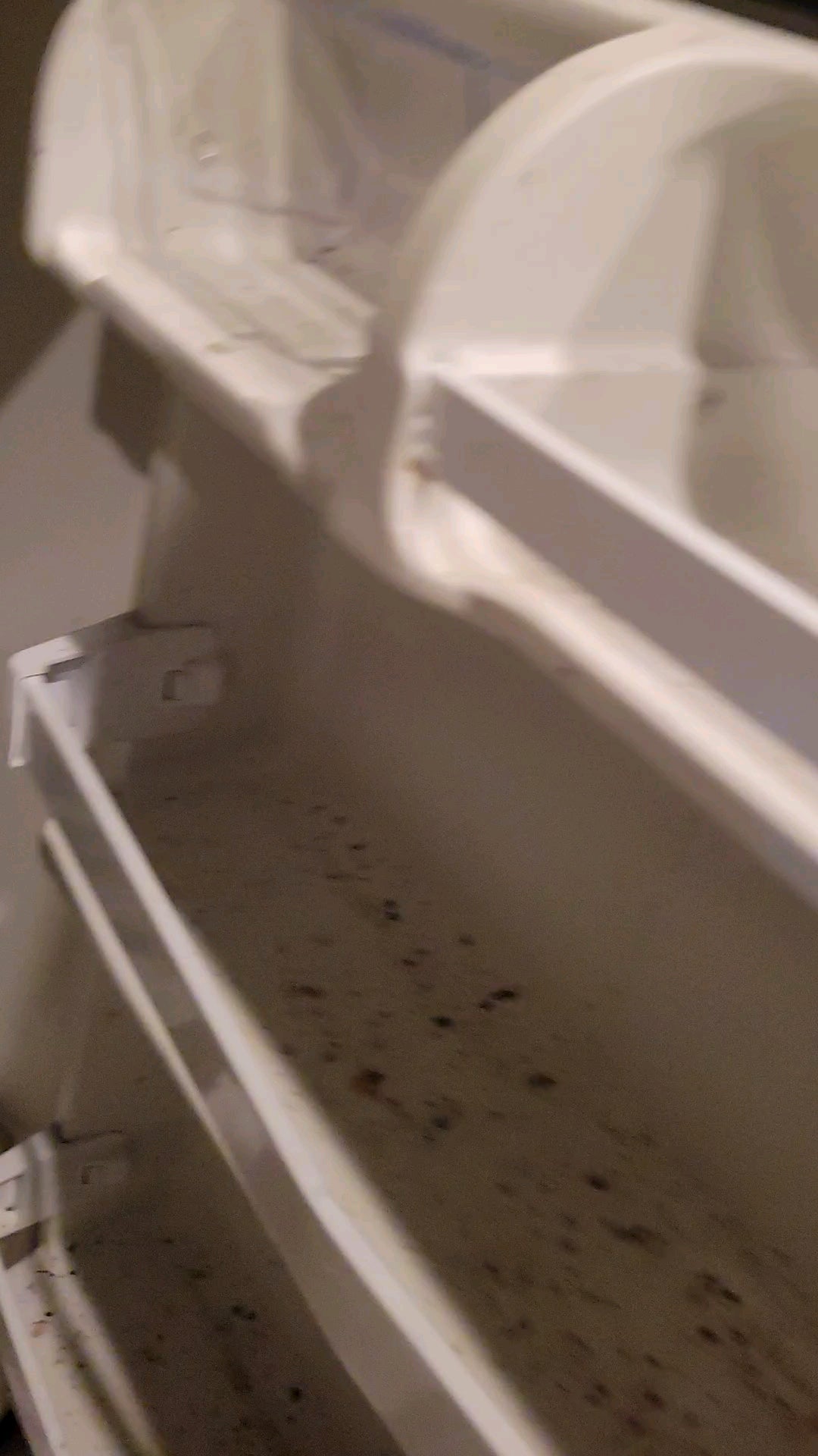 guess we forgot to clean out the old fridge