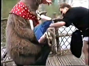 Country bears gone wild