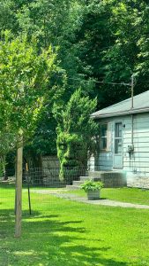 This bush that was trimmed to look like a man.