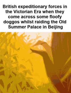 One of the dogs was given to Queen Victoria, who named it "Looty"