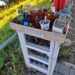 I moved to a city that has tons of 'plant libraries' where you can trade or take propagations and or plants