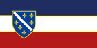 If you were the prime minister of Bosnia and Herzegovina which flag would you choose?