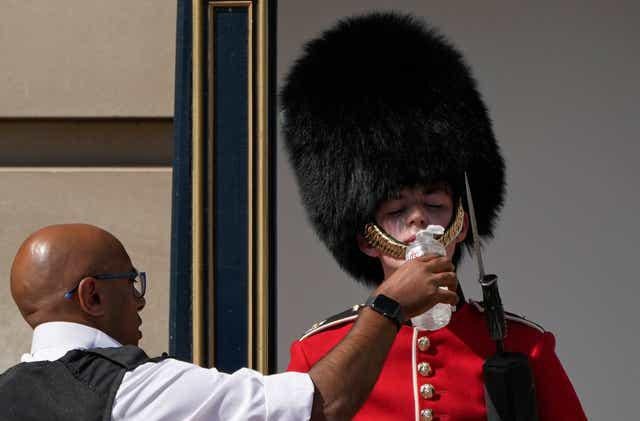 A police having to water Queen's Guard outside Buckingham Palace because of the hot weather