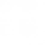 Taiwanese Democratic Progressive Party flag ceremony during party conference