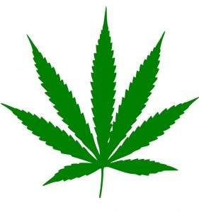 TiL that in the early 70's, the cannabis strain "Acapulco Gold" was so popular at Columbia University that the college had a dedicated smuggling route via Austin, Texas.