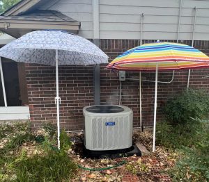 This is how hot it is in Texas…