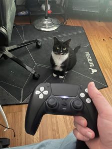 Side effects of doing the “Meow 200 times” trophy on Stray.