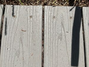 The boards were looking at me [OC]