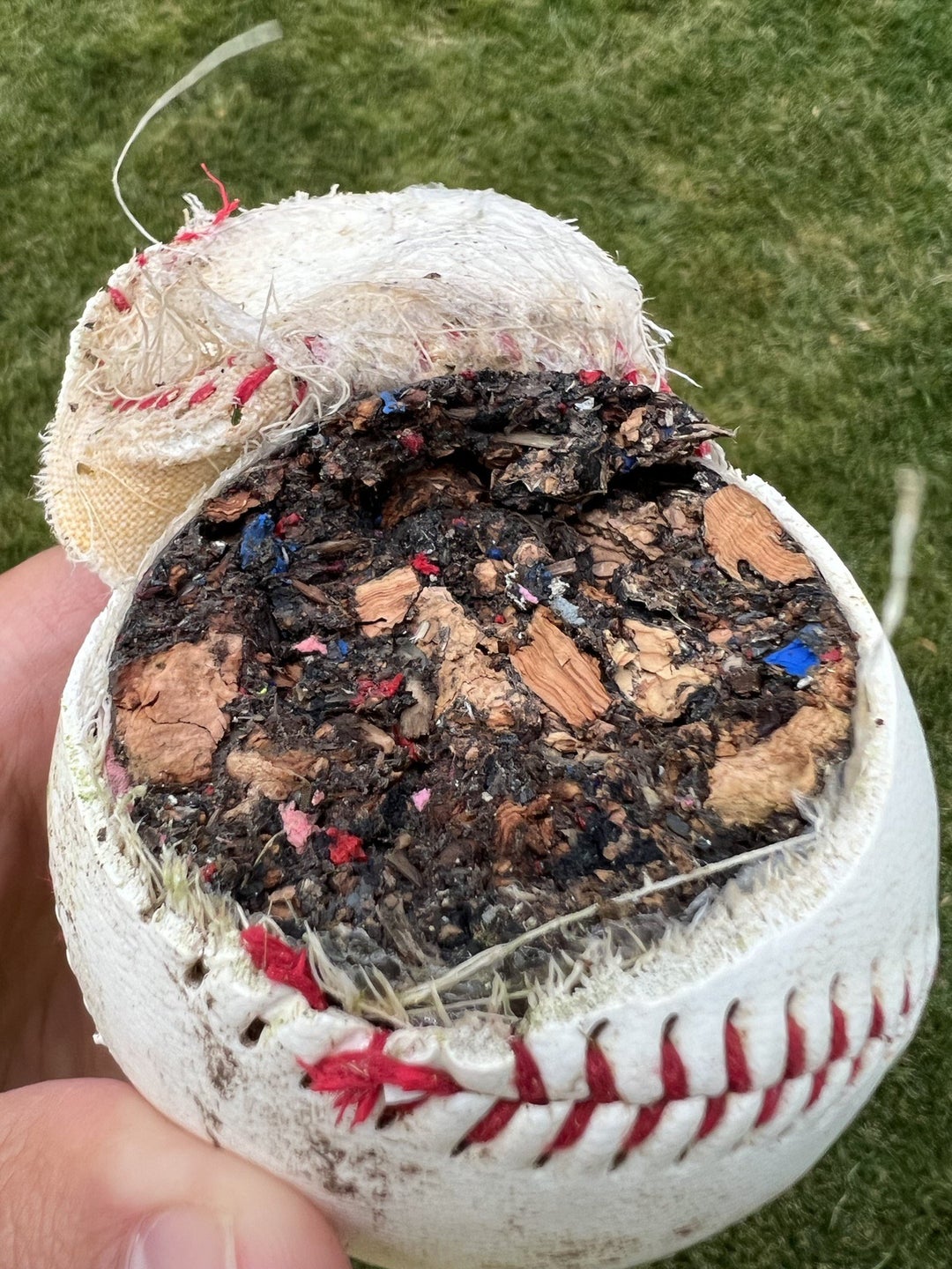 Accidentally cut open a cheap kids baseball with my lawn mower