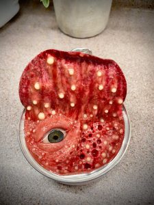 I up-cycled an aluminum cat food can into a functional piece of art. (Catch all, for coins, rings and earrings and the like.)