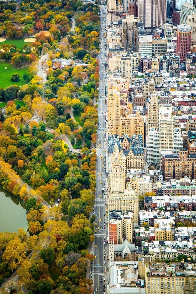 A Split Between The Architecture Of The City And The Green Of Central Park, New York