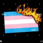 The transgender pride flag but it comes from r/unpopularopinion