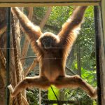 Turned the corner in the Zoo to see this