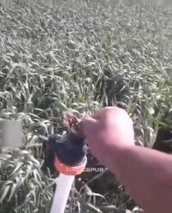 at least it flew away in the other direction...