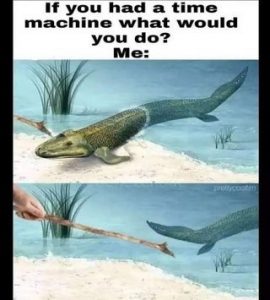 I guess it would have happened anyway