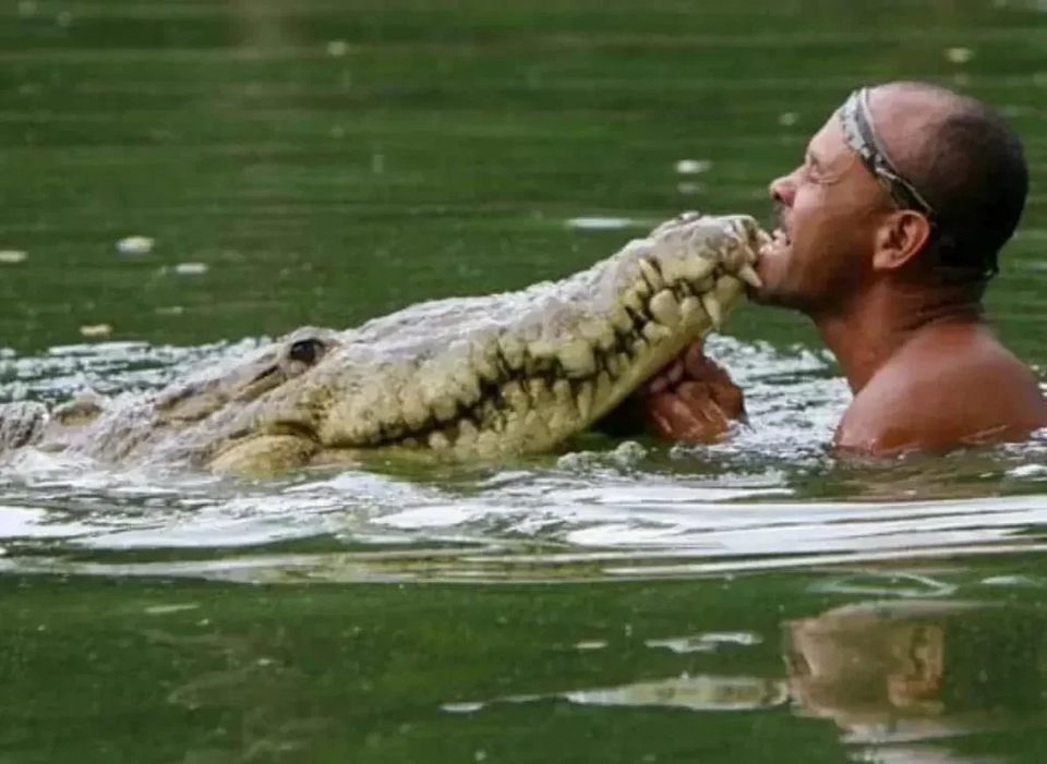 A local fisherman in Costa Rica nursed a crocodile back to health after it had been shot in the head, and released the reptile back to its home. The next day, the man discovered "Pocho" had followed him home and was sleeping on the man's porch. For 20 years Pocho became part of the man's family.