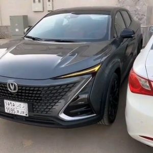 The summon feature on this relatively affordable Chinese car