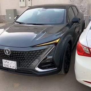 The summon feature on this relatively affordable Chinese car