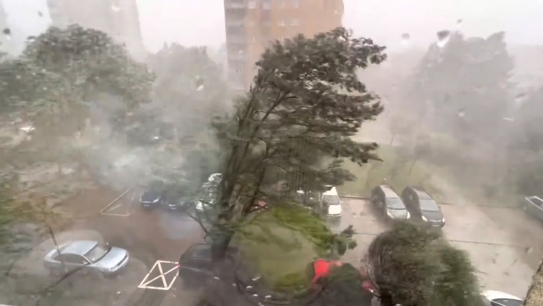 Man runs to a car parked under a tree during bad weather