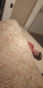 My cousin turned 21 last night. [OC]