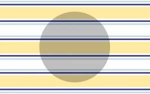 the flag of the Democratic Confederation of Piss Babies United